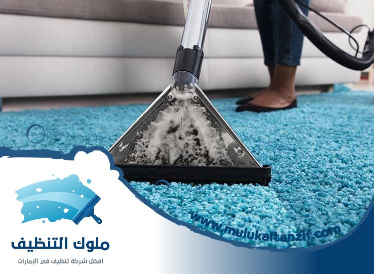 شركة تنظيف في بالميرا 