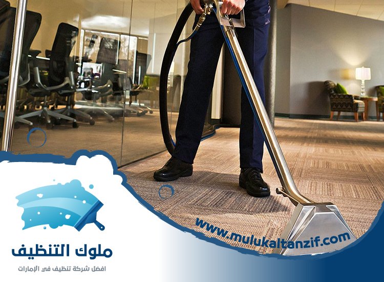 شركة تنظيف في بالميرا 