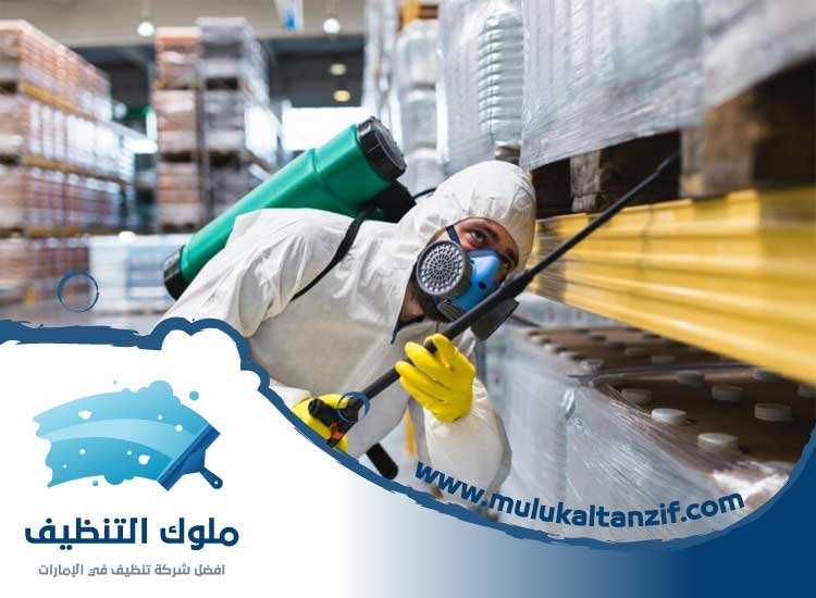 شركة مكافحة الرمة في الغرفة